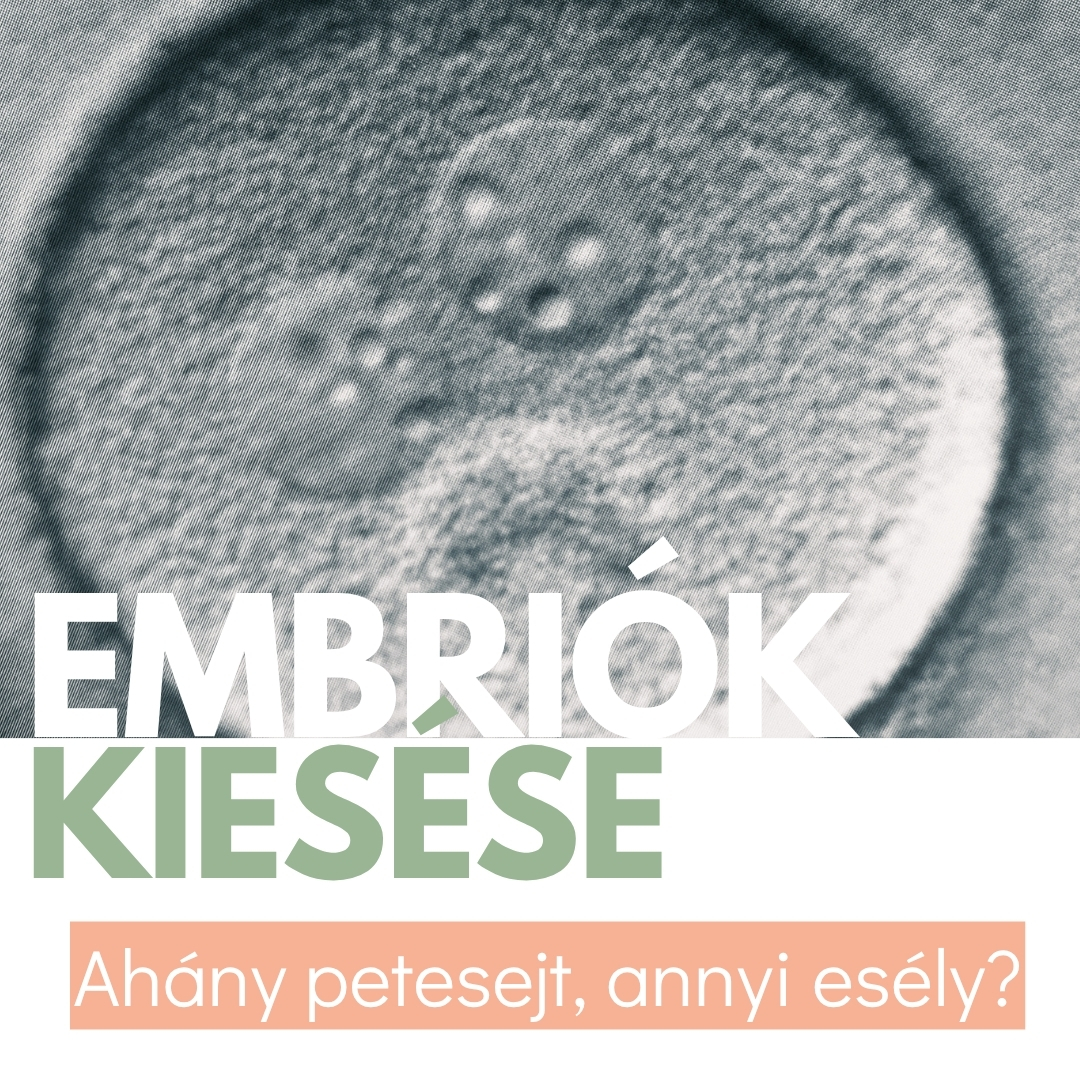 Embriók lemorzsolódása