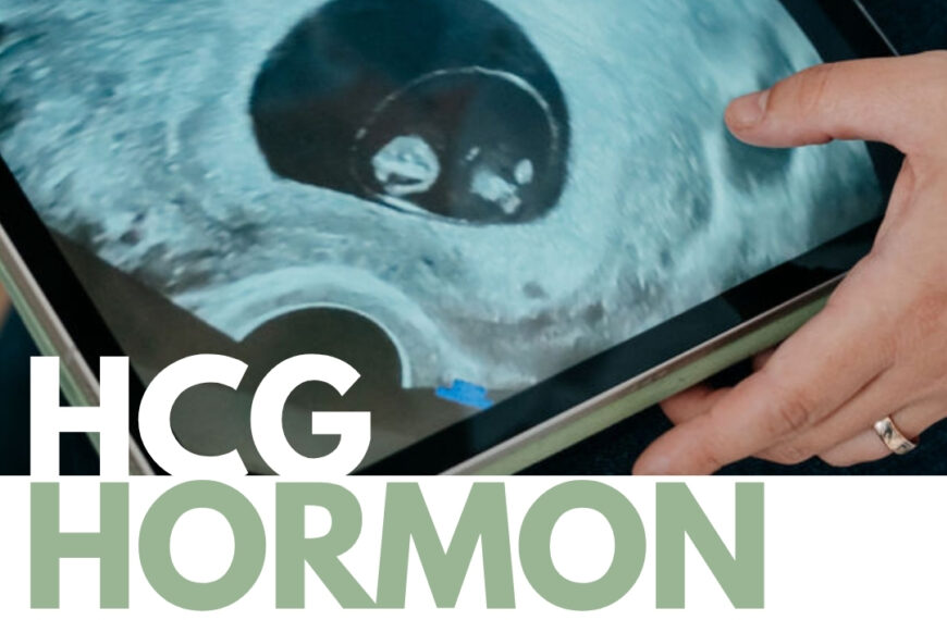 HCG – A terhességi hormon