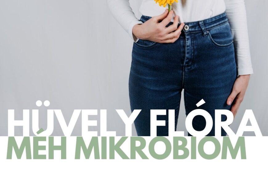 hüvely flóra méh mikrobiom