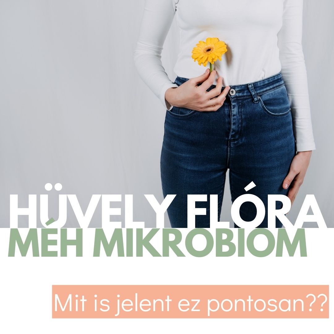 hüvely flóra méh mikrobiom
