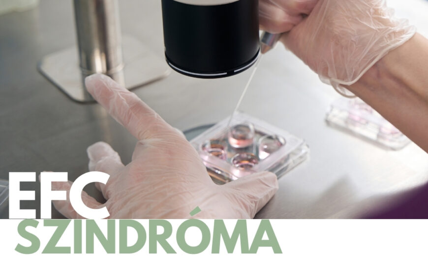 empty follice szindroma, petesejt keresés nincs petesejt