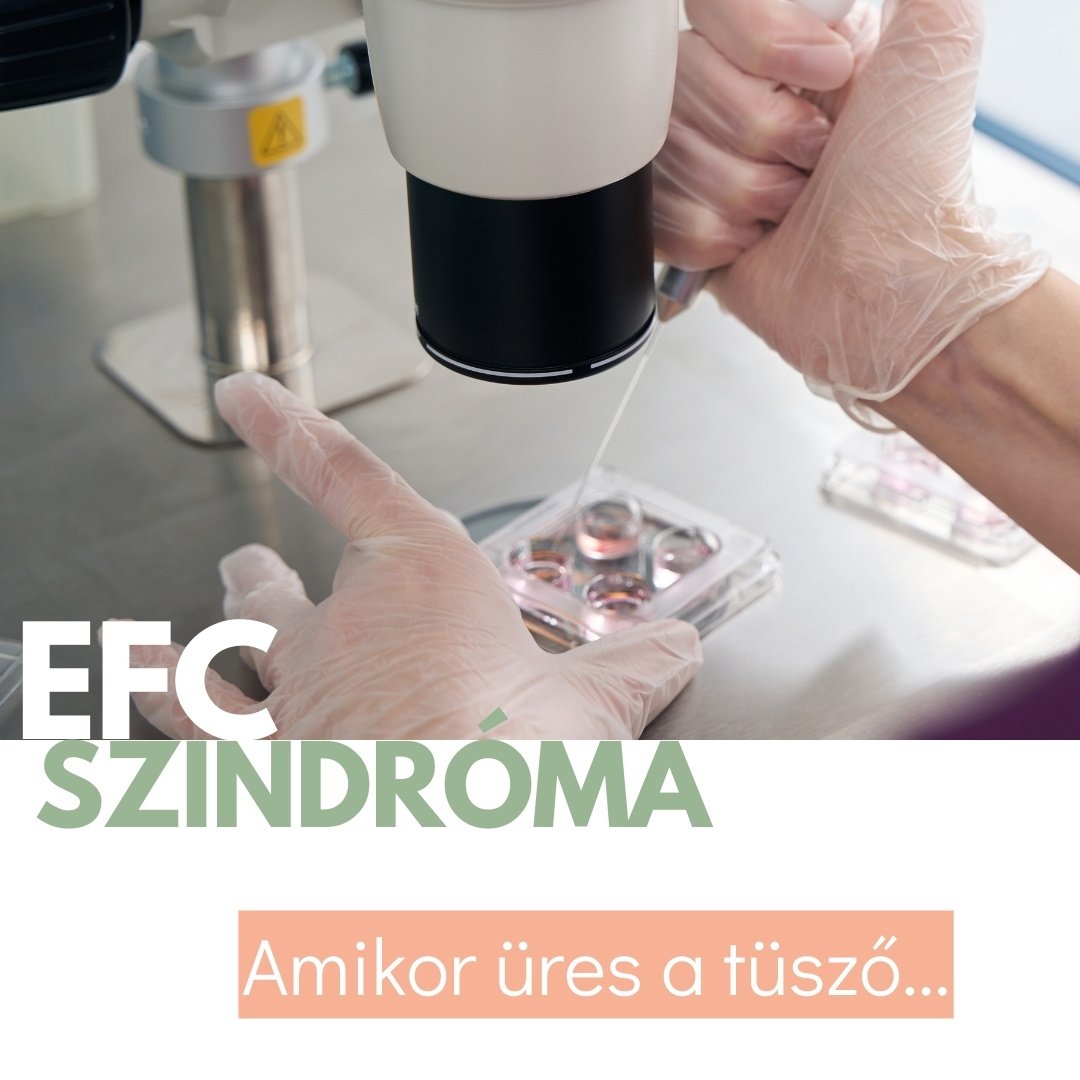 empty follice szindroma, petesejt keresés nincs petesejt