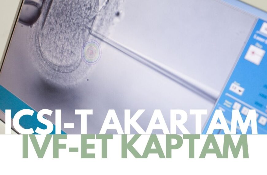 ICSI és konvencionális IVF összehasonlítása meddőségi kezelés során