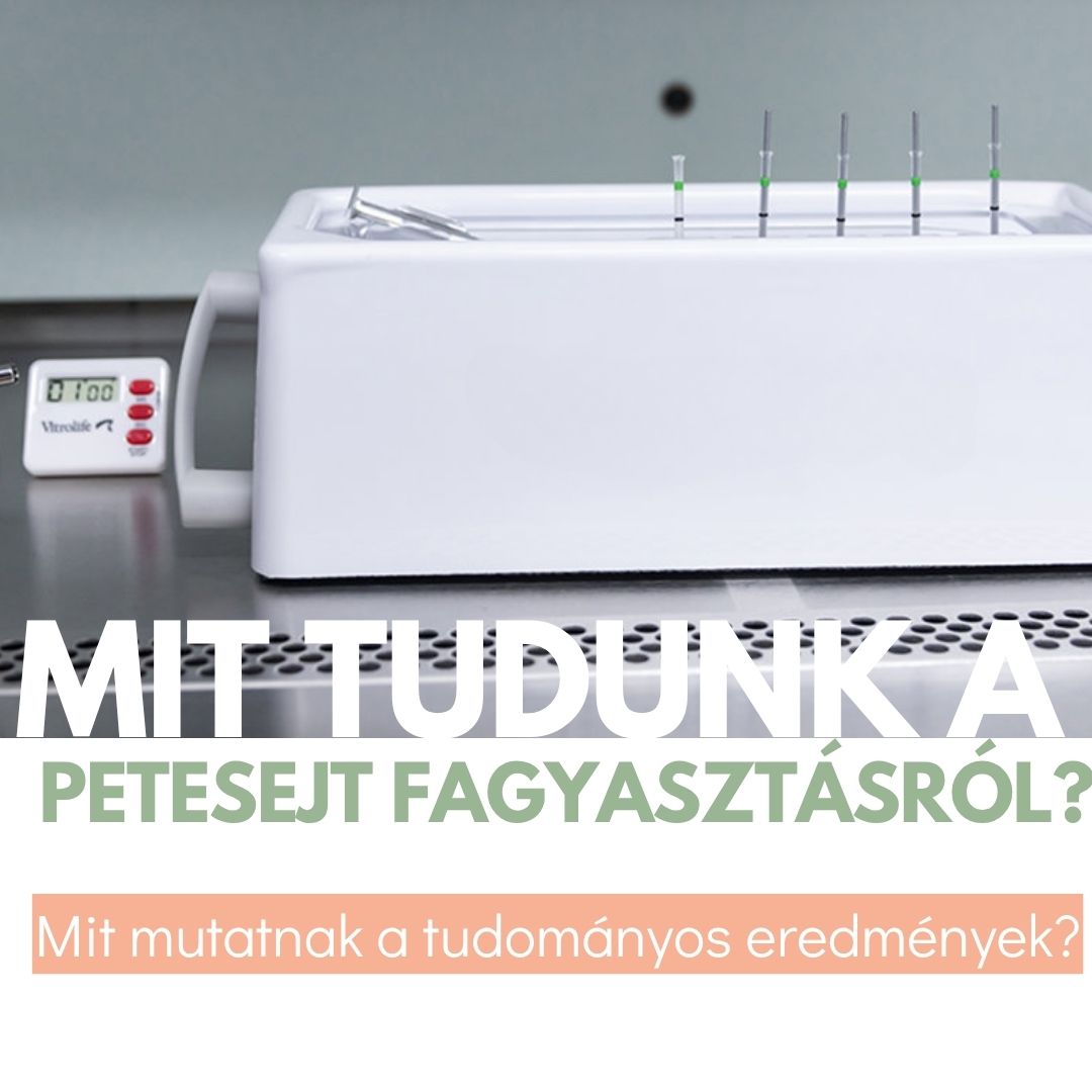 petesejt fagyasztás